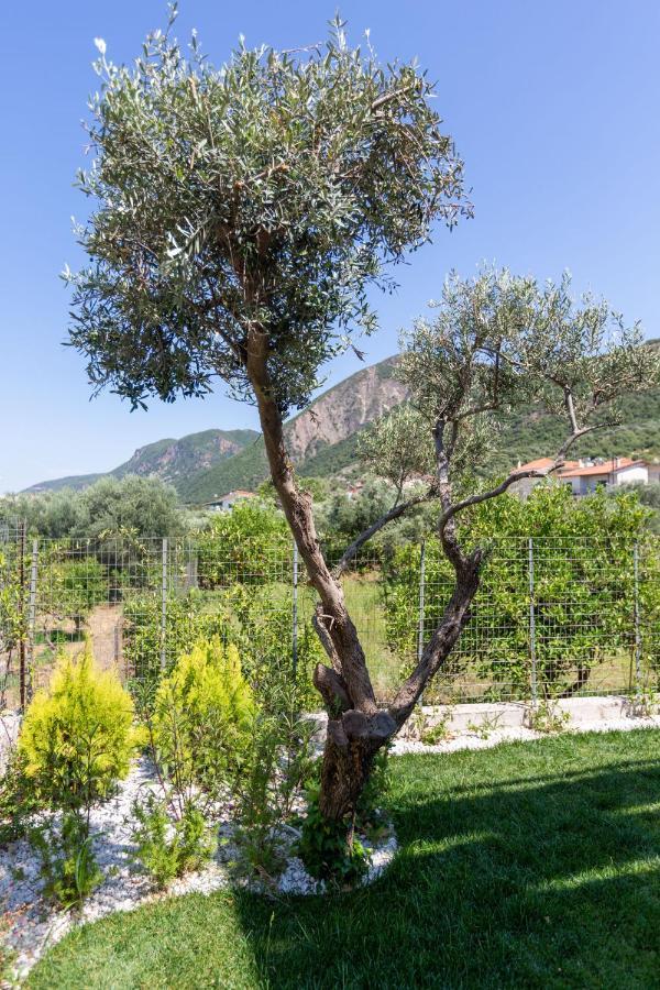 Two Olive Trees Apartment Psathopyrgos Ngoại thất bức ảnh